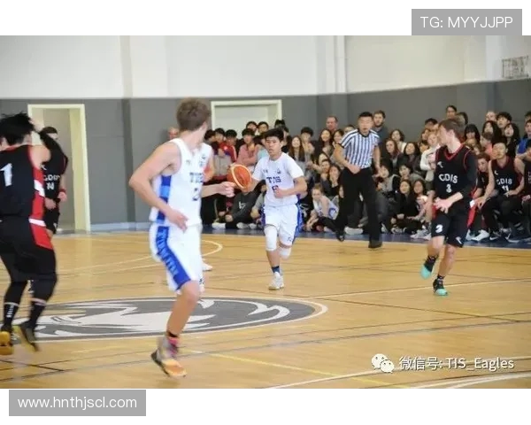 南京篮球队在联合会杯中的耐力表现分析与启示