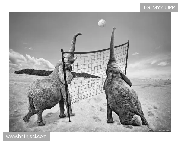 极限运动新手必读:从意识到技巧的全面入门指南 极限运动新手必读:从意识到技巧的全面入门指南