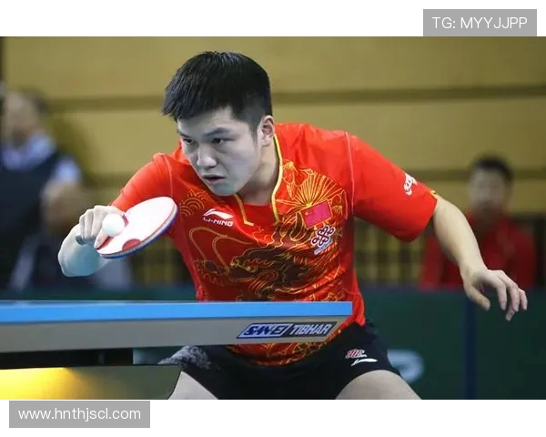 广州乒乓球队在杯赛中的团队协作表现分析与启示